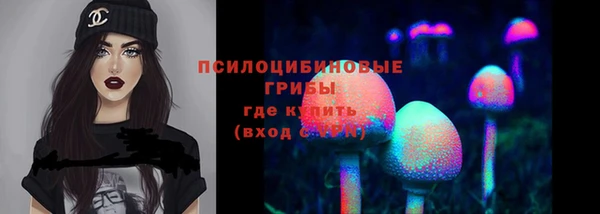 дмт Медногорск