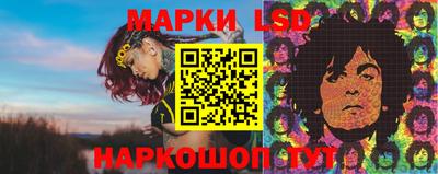 гидра Кимры