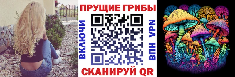 Псилоцибиновые грибы прущие грибы  Майский 