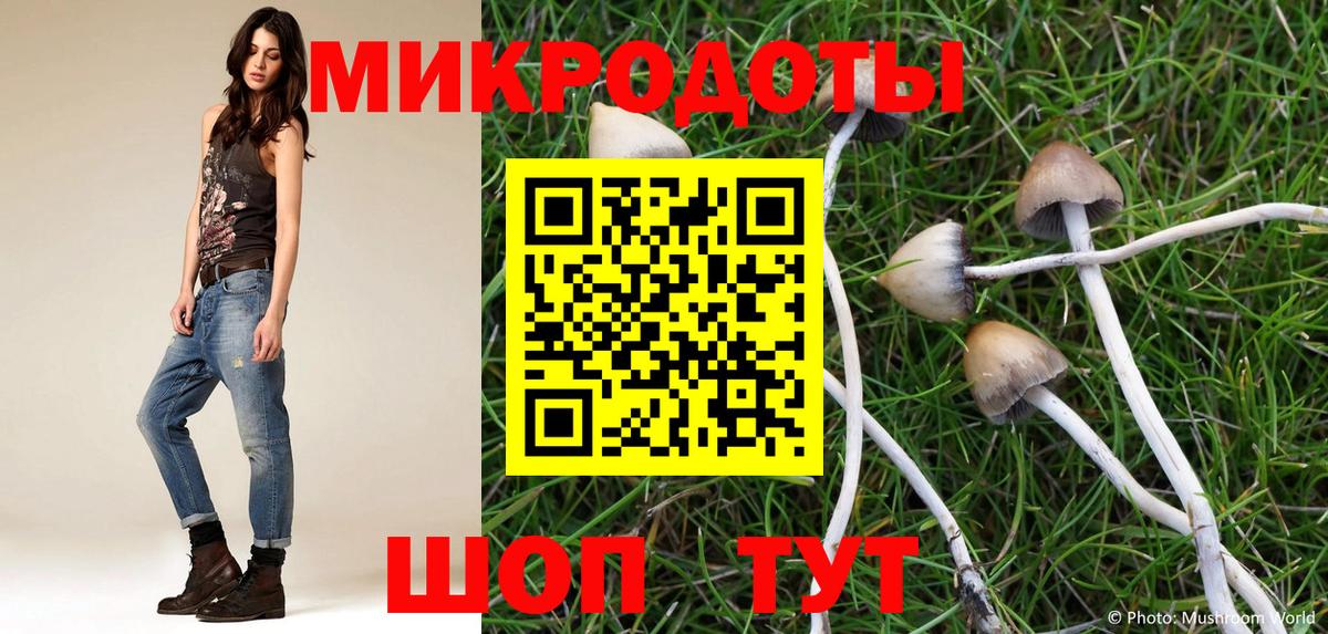 Псилоцибиновые грибы Psilocybine cubensis Майский