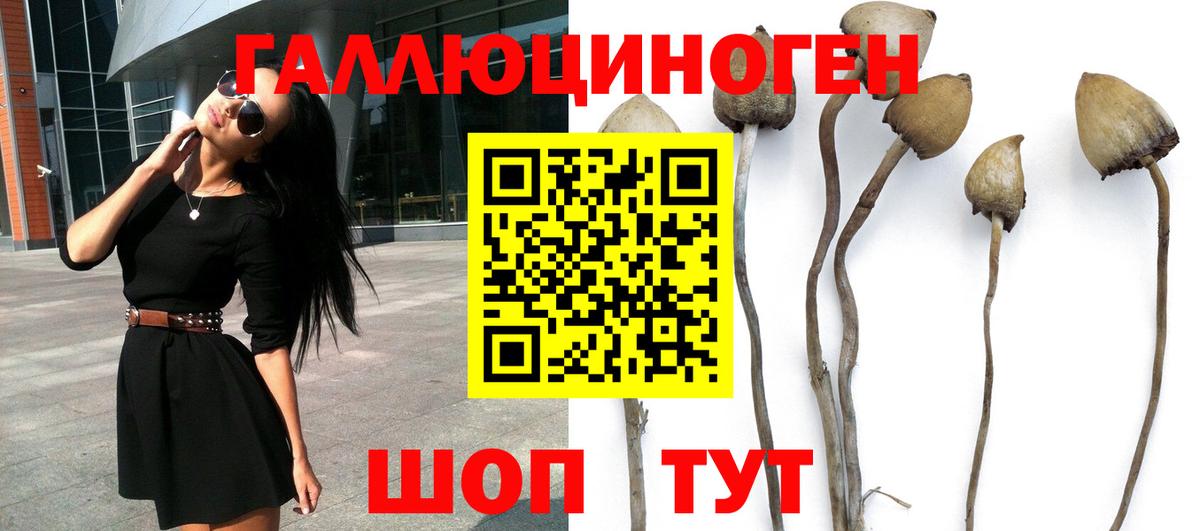 Галлюциногенные грибы MAGIC MUSHROOMS Майский